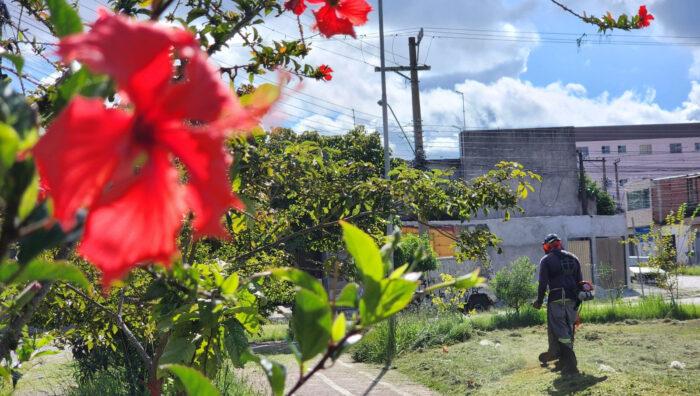 Meio Ambiente promove zeladoria em nove praças