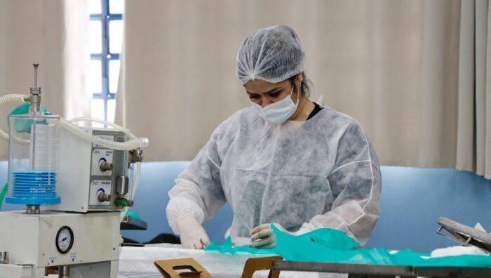 Mutirão de castração na região norte convoca tutores para atendimentos deste sábado