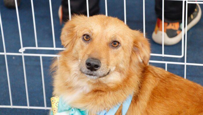 Parque Max Feffer recebe evento presencial do ‘Baby, me Leva!’ neste domingo