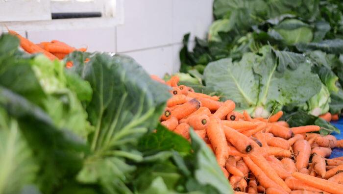 Educação prepara cardápio específico para alunos que têm restrição alimentar