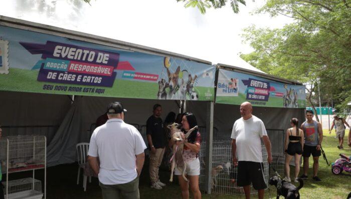 Projeto ‘Baby, me Leva!’ garante adoção de 14 cães e gatos no Parque Max Feffer