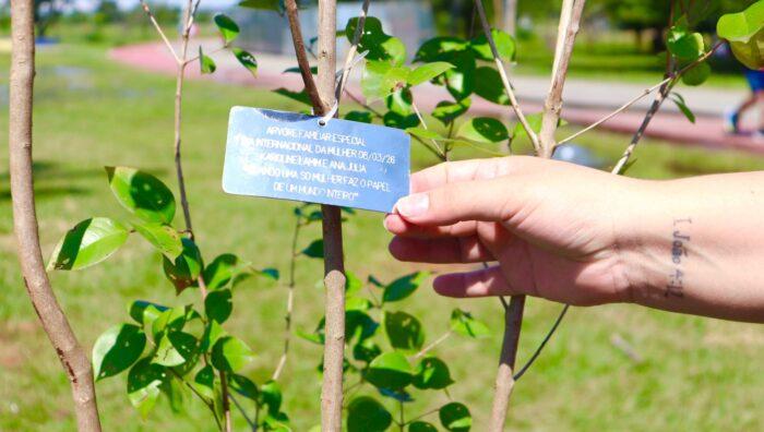 ‘Árvore FamiliAR’ promove plantio de 50 pitangueiras em edição de homenagem ao Dia da Mulher