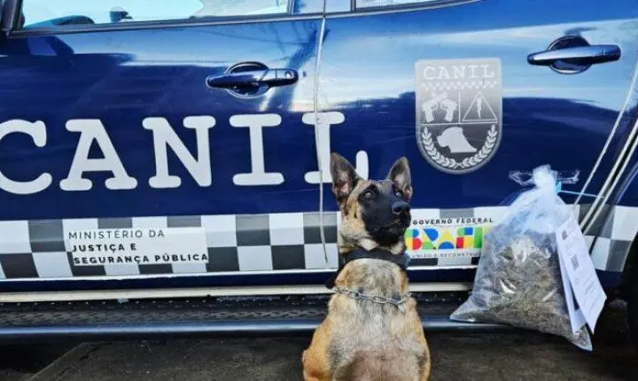 GCM apreende mais de 4 kg de drogas